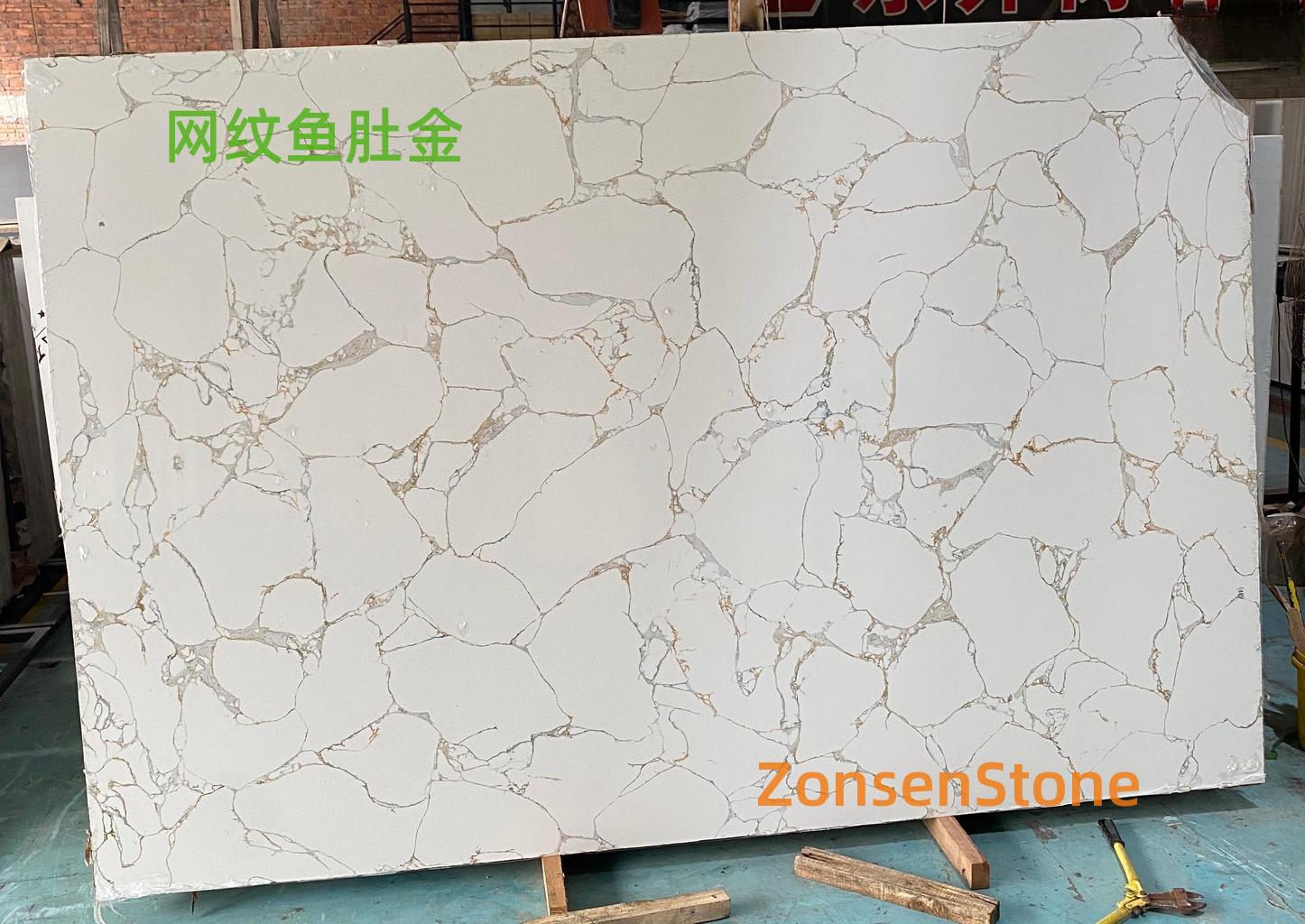 网纹鱼肚金