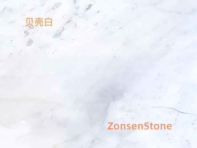 贝壳白
