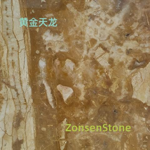 黄金天龙