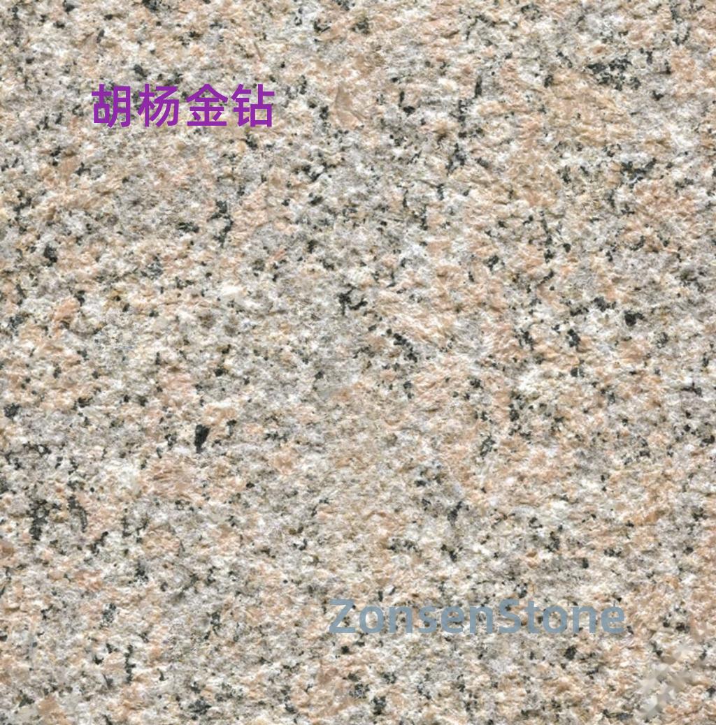 胡杨金钻