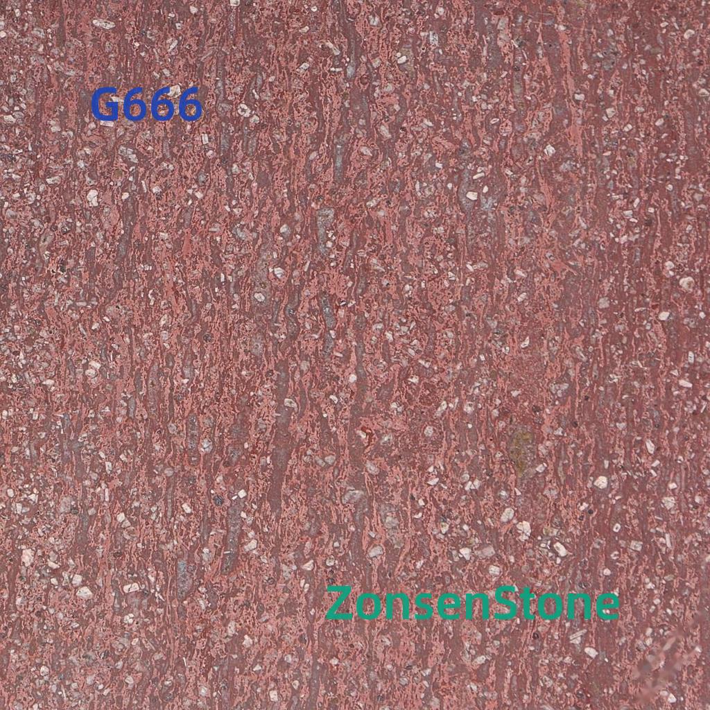 G666