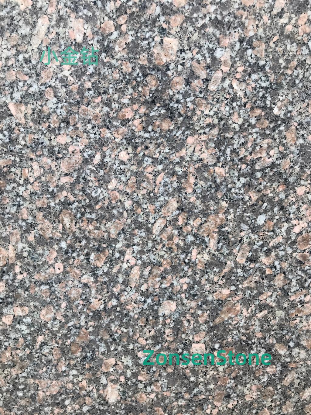 小金钻