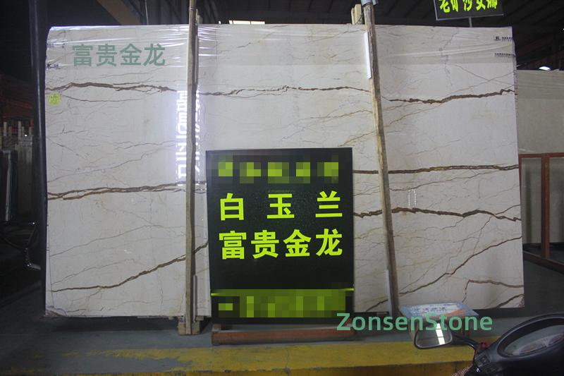 富贵金龙