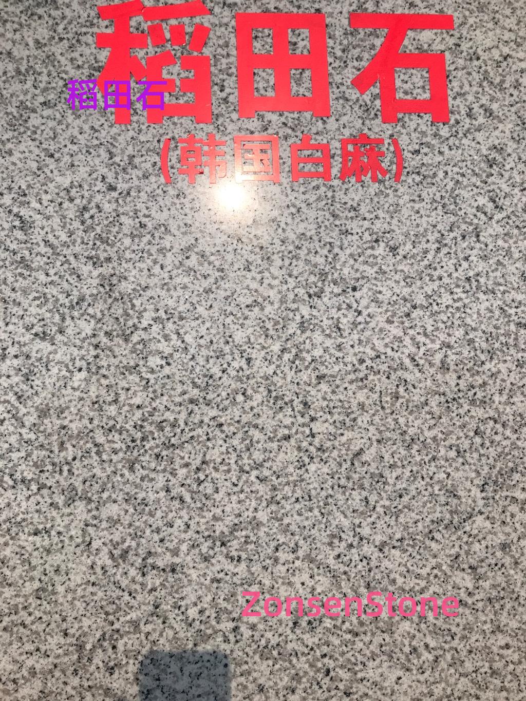 稻田石