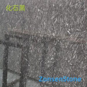 化石黑