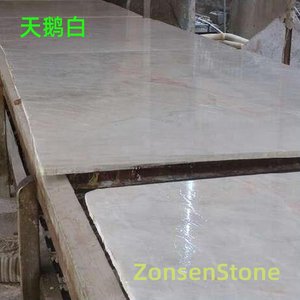天鹅白