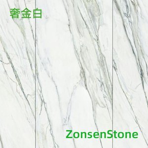 奢金白