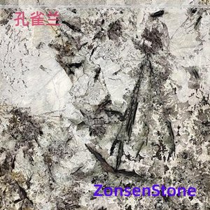 孔雀兰