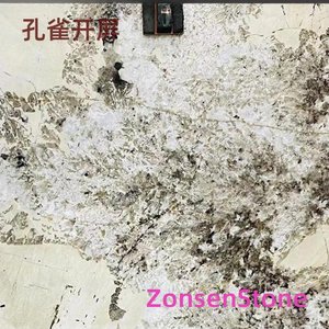 孔雀开屛