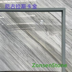 尼古拉斯卡金