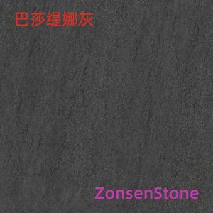 巴莎缇娜灰