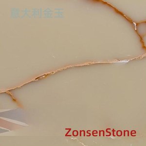 意大利金玉