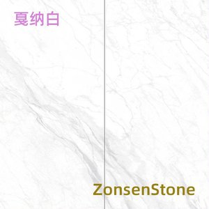 戛纳白