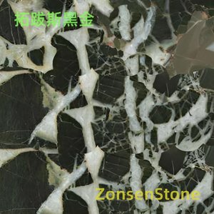 拓跋斯黑金