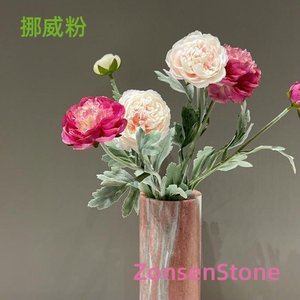 挪威粉
