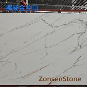 挪威金丝白