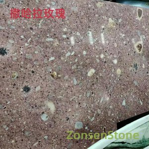 撒哈拉玫瑰