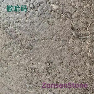 撒哈码