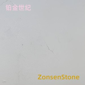 铂金世纪