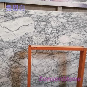 鱼翅白