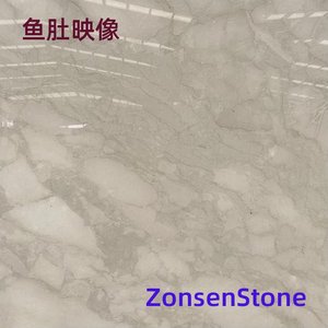 鱼肚映像
