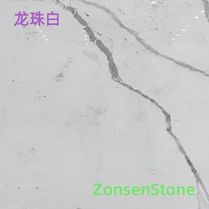 龙珠白