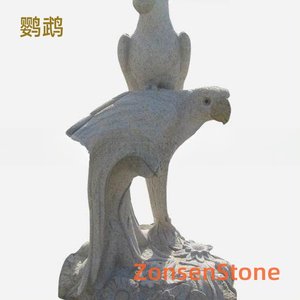 鹦鹉