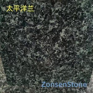 太平洋兰