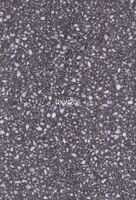 DXW206