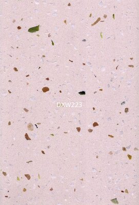 DXW223