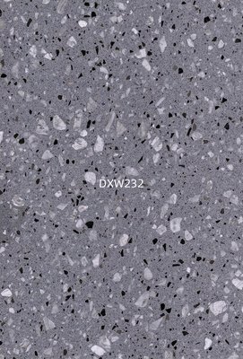 DXW232
