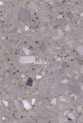 DXW501
